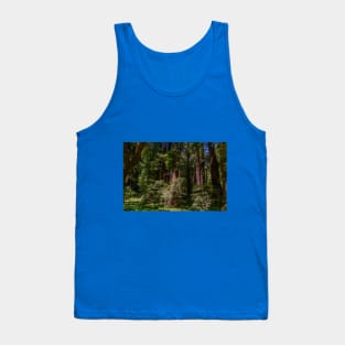 Massive Redwood Trees in a Green Forest Tank Top